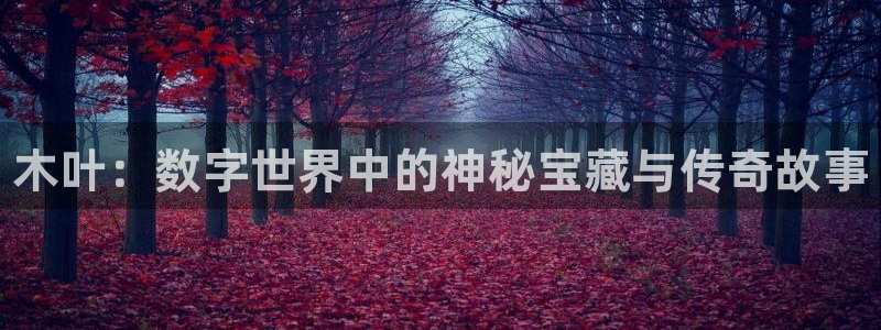 高德娱乐注册登录平台：木叶：数字世界中的神秘宝藏与传奇故事