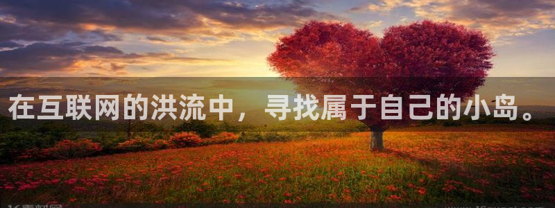 高德娱乐平台注册开户：在互联网的洪流中，寻找属于自己的小岛。