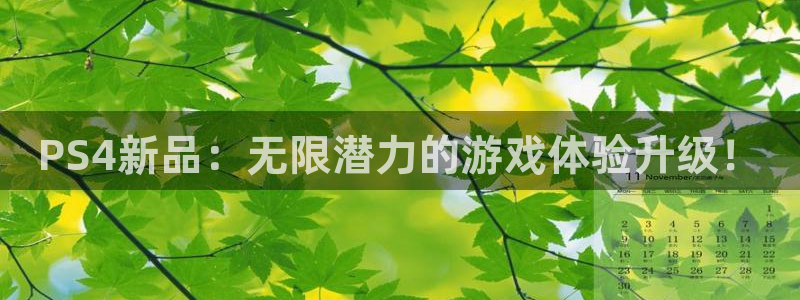 高德娱乐登陆测速：PS4新品：无限潜力的游戏体验升级！