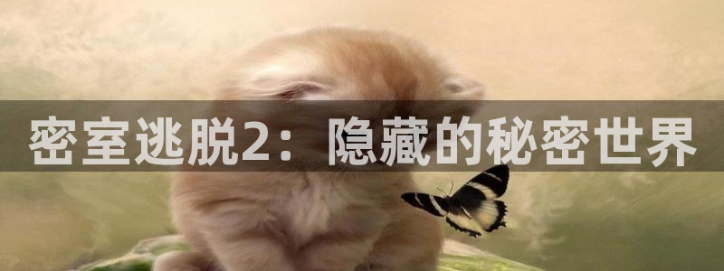 高德娱乐网页登录入口：密室逃脱2：隐藏的秘密世界