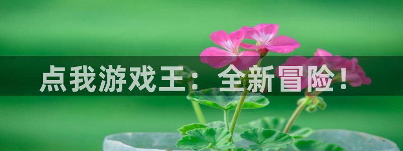 高德娱乐下载官网：点我游戏王：全新冒险！