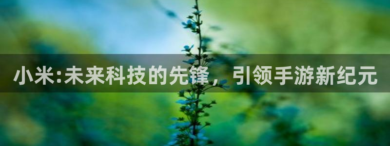 高德娱乐平台：小米:未来科技的先锋，引领手游新纪元